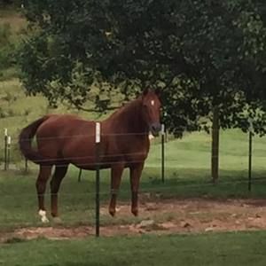 Meet your Posher, Vicky